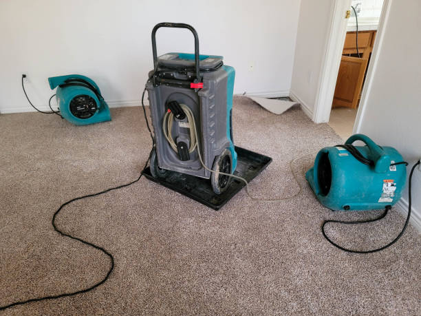 Best Ceiling water damage repair  in Glyndon, MN