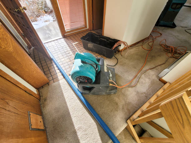 Best Water damage restoration near me  in Glyndon, MN