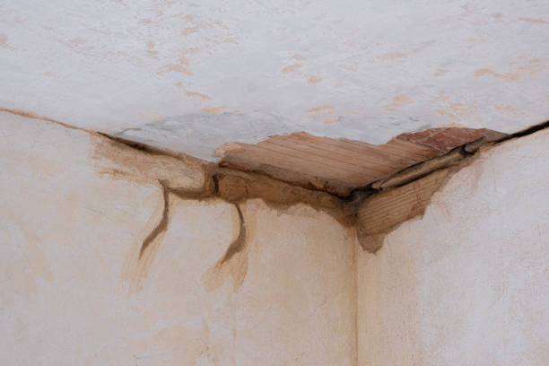 Best 24-hour water damage restoration  in Glyndon, MN