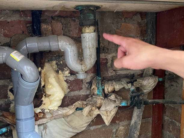 Best Residential water damage restoration  in Glyndon, MN